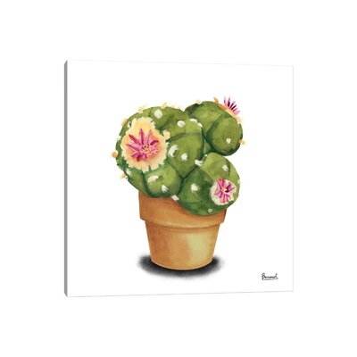 Cactus Flowers VII - Image 0