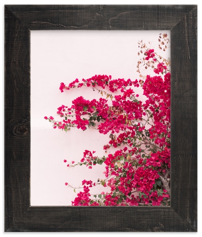 Bright Bougainvillea Limited Edition Fine Art Print 1 - Image 0