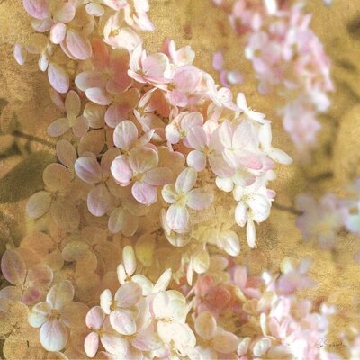 Gilded Hydrangea I by Sue Schlabach - Wrapped Canvas Photograph Print - Image 0