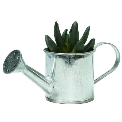 4" Tropical Green Mini Artificial X Pachyveria Succulent In Tin Water Can - Image 0