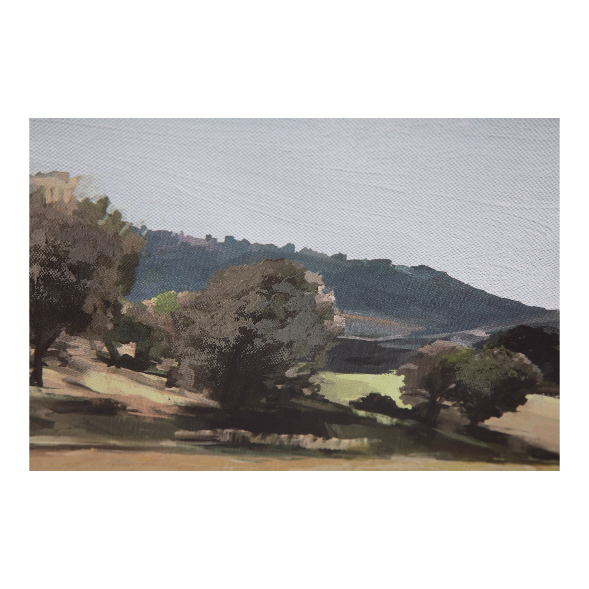 Vast Country Framed Painting - Image 2