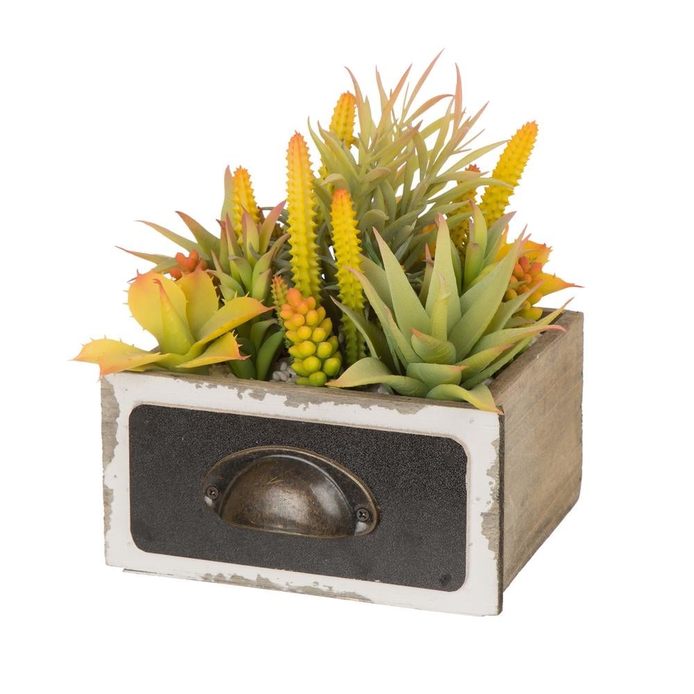 Glitzhome 6.25"H Succulent Plants in Wooden Box - Image 0