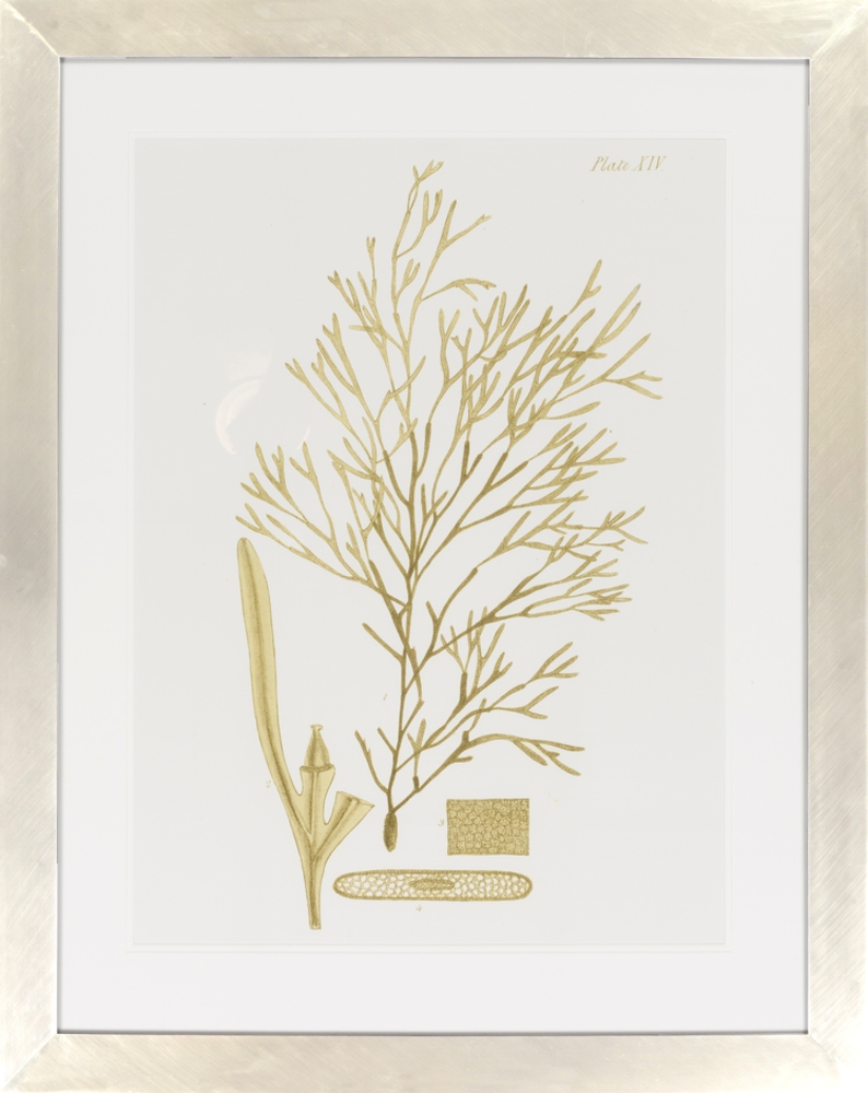 Surya Wall Decor LJ-4009 40"H x 32"W Framed Art - Image 0