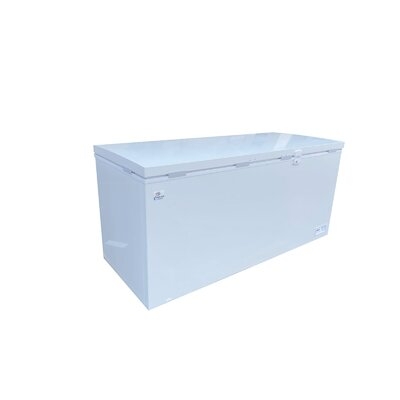 NSF 65 In 18 Cu. Ft Solid Top Chest Freezer - Image 0