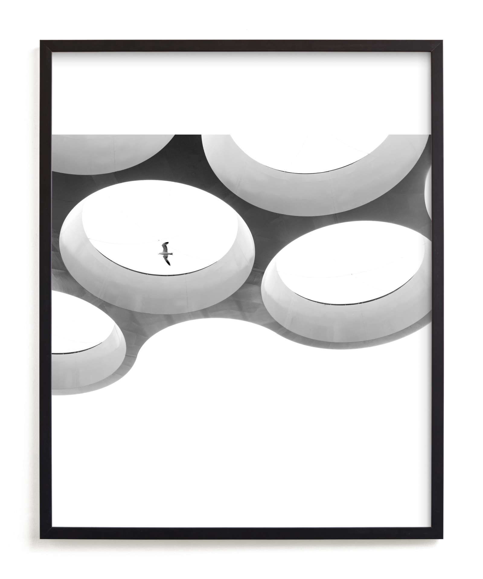 In Flight Limited Edition Fine Art Print 2 - Image 0