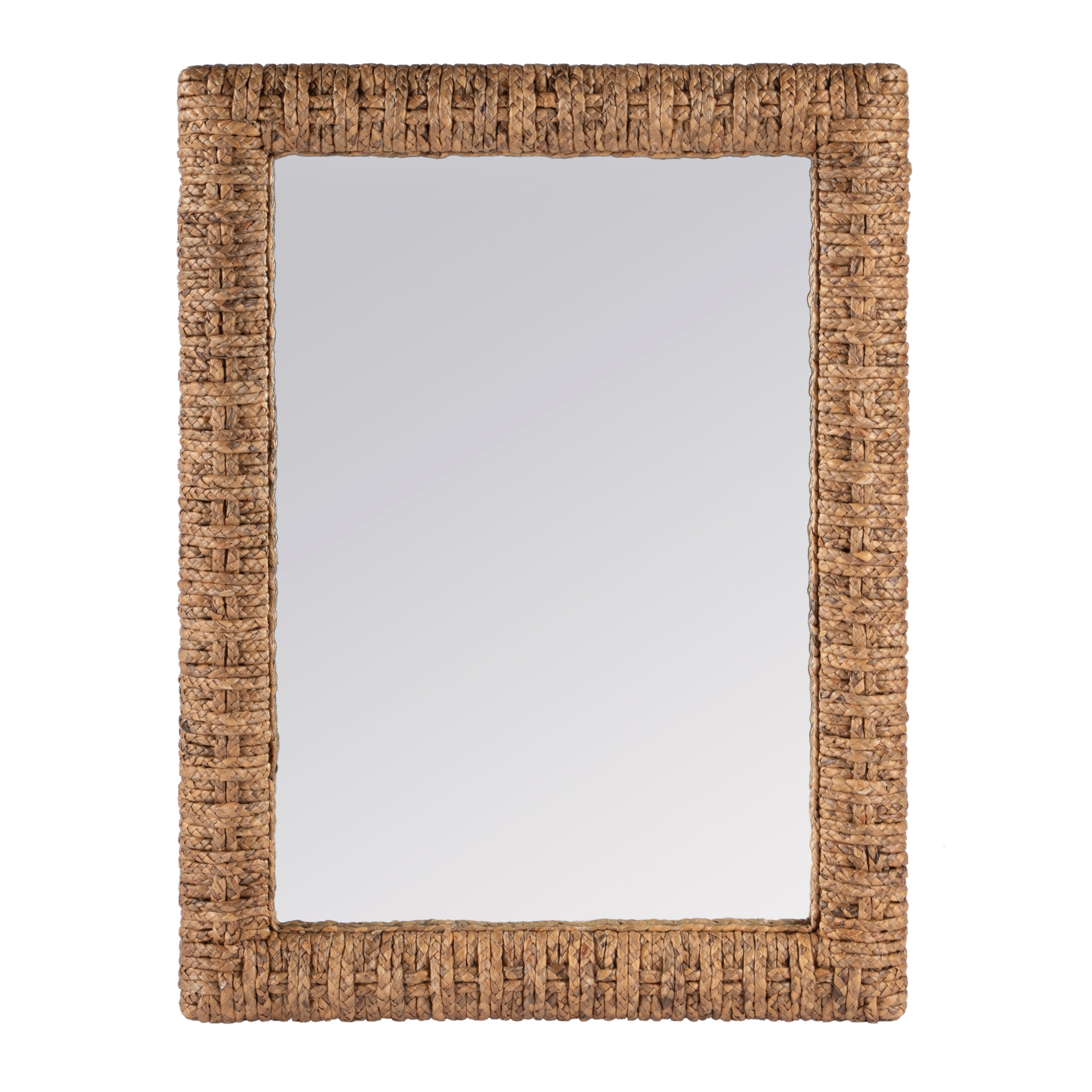 Gloucester Banana Leaf Wall Mirror - Image 0
