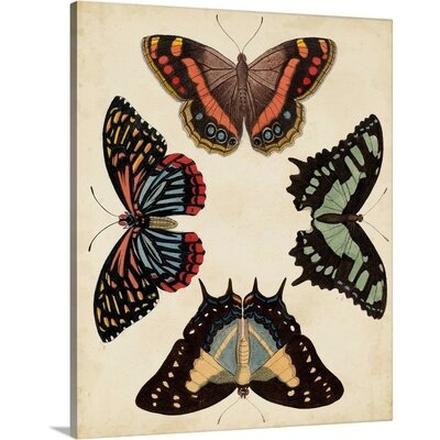 Display of Butterflies IV by Studio Vision - Painting Print on Canvas - Image 0
