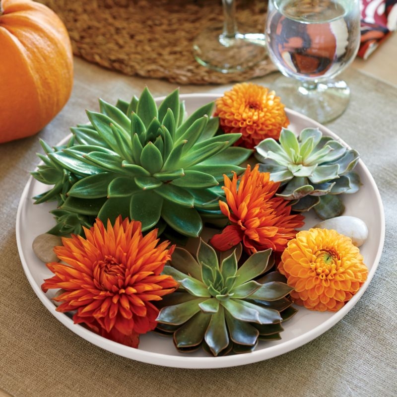 Toben Dinner Plates, Set of 8 - Image 4