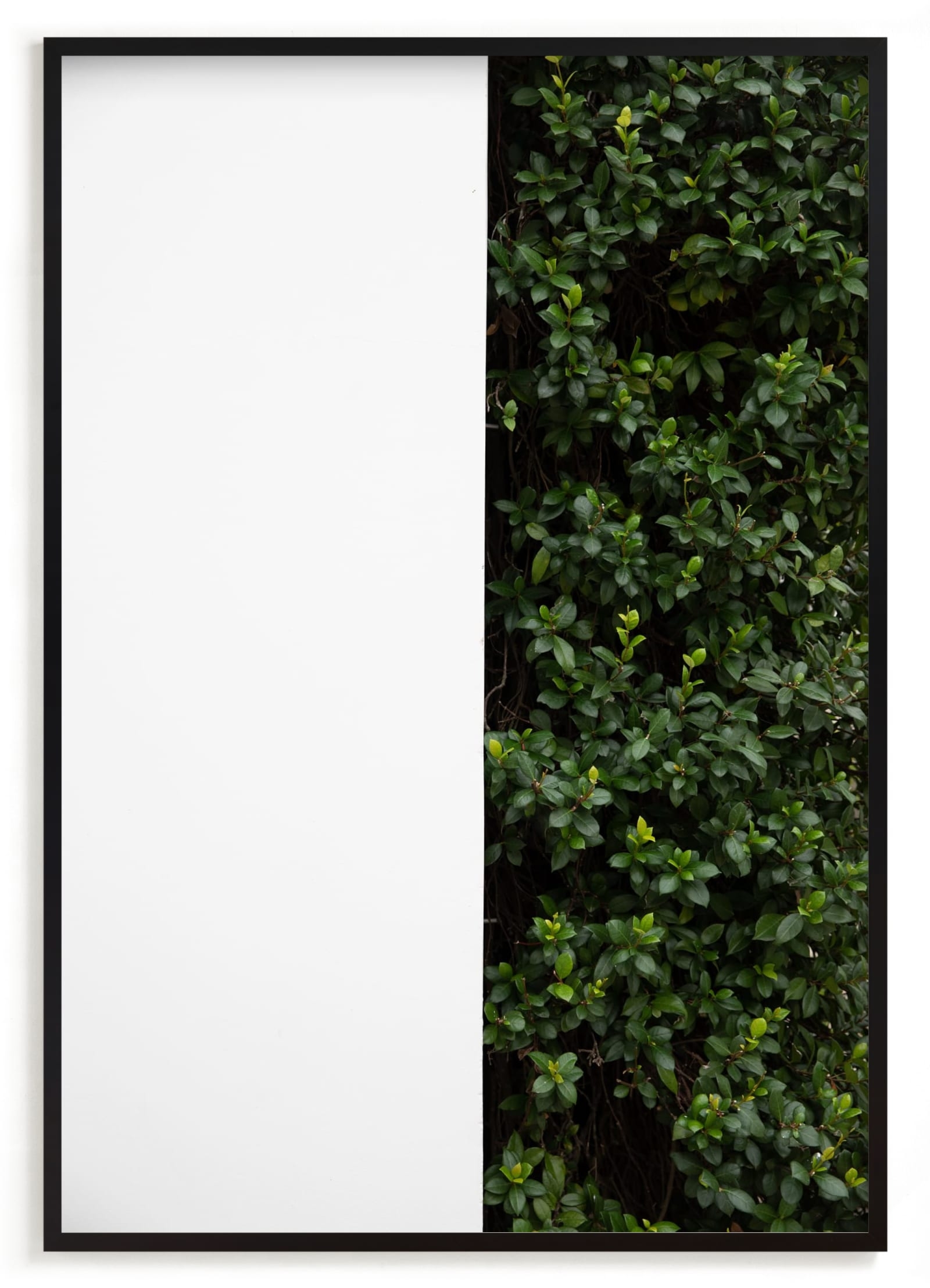 Verdant Garden III Limited Edition Fine Art Print 2 - Image 0