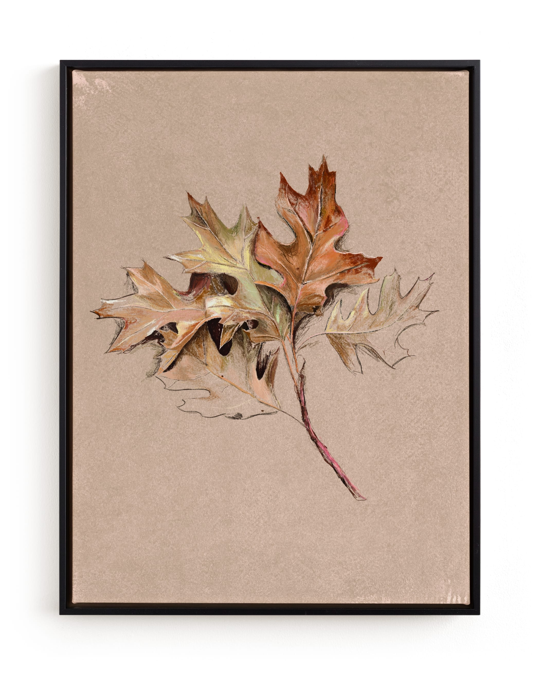 Leaf Study Limited Edition Fine Art Print 2 - Image 0