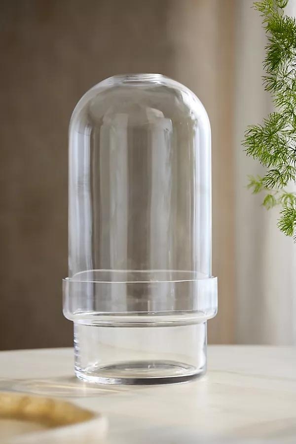 Glass Cloche Terrarium, Large - Image 0