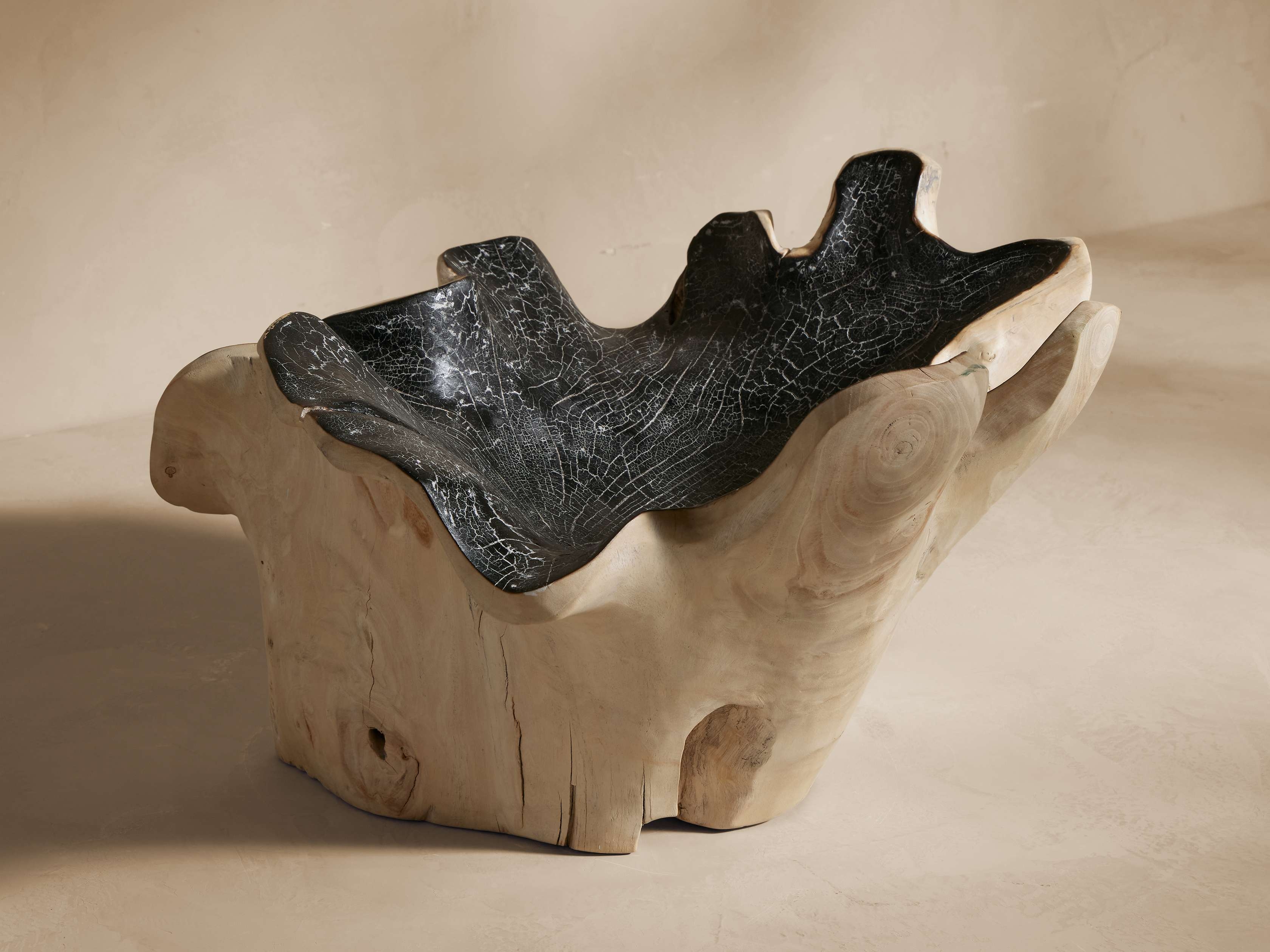 Vanora Curly Bowl in Natural Wood Black - Image 0