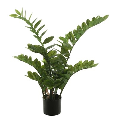 Artificial Zamifolia Succulent Plant in Pot - Image 0