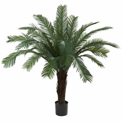 Cycas Palm Tree in Pot - Image 0