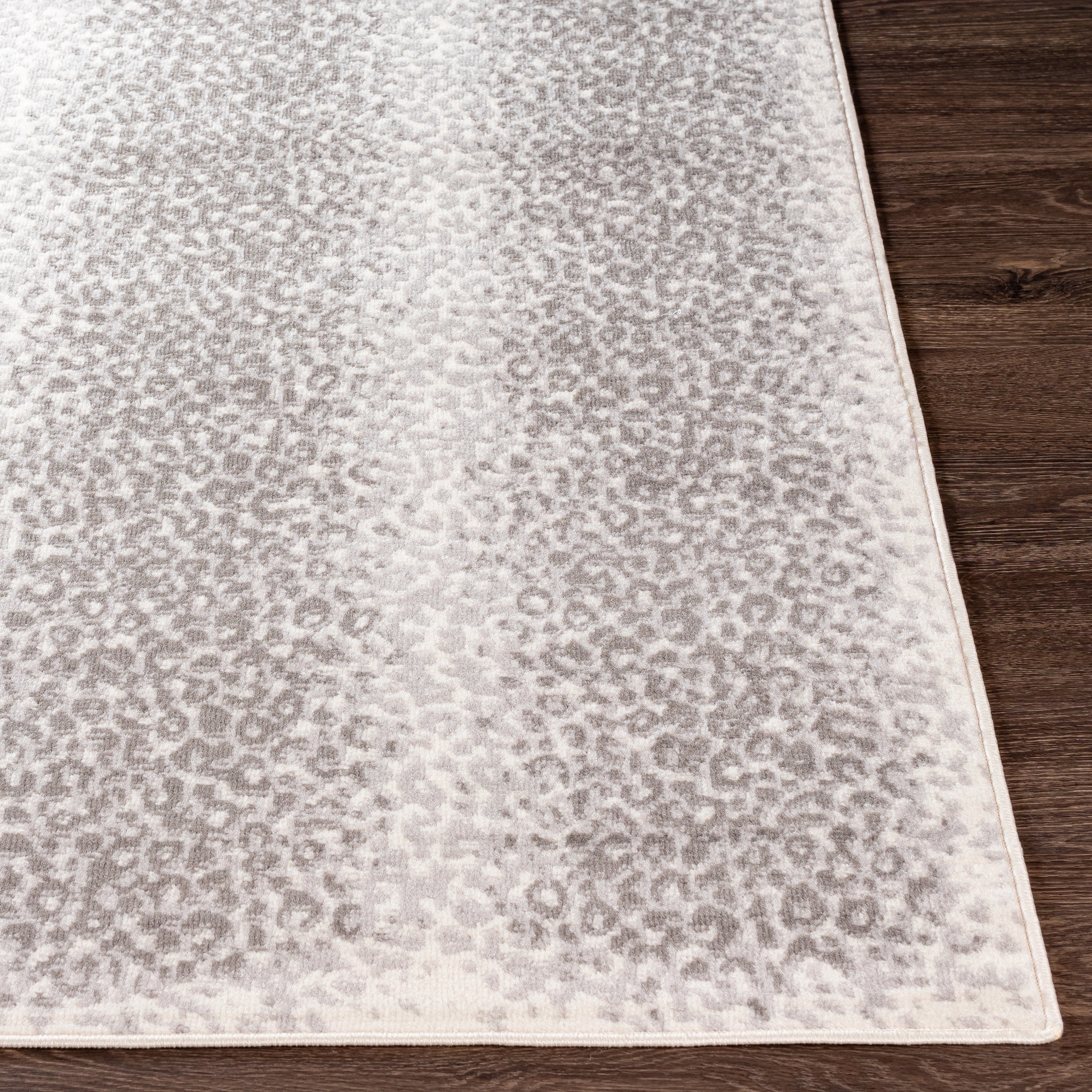 Pisa  Indoor 5' x 7' Machine Woven Rug - Image 2