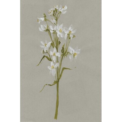 White Field Flowers I - Image 0