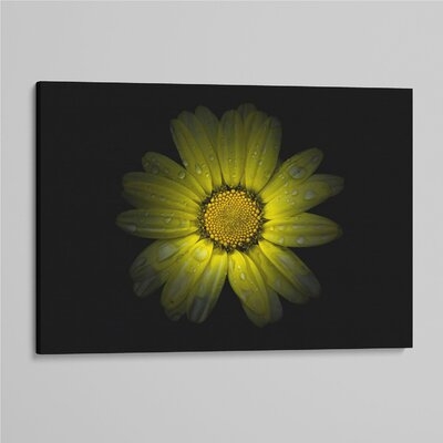 'Backyard Flowers 78 ' - Photographic Print On Wrapped Canvas - Image 0