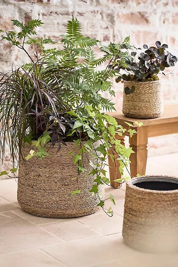 Woven Seagrass + Fiber Taper Pot - Image 0
