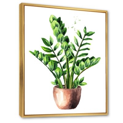 Zamioculcas Tropical Plant With Green Leaves - Traditional Canvas Wall Art Print FL35488 - Image 0