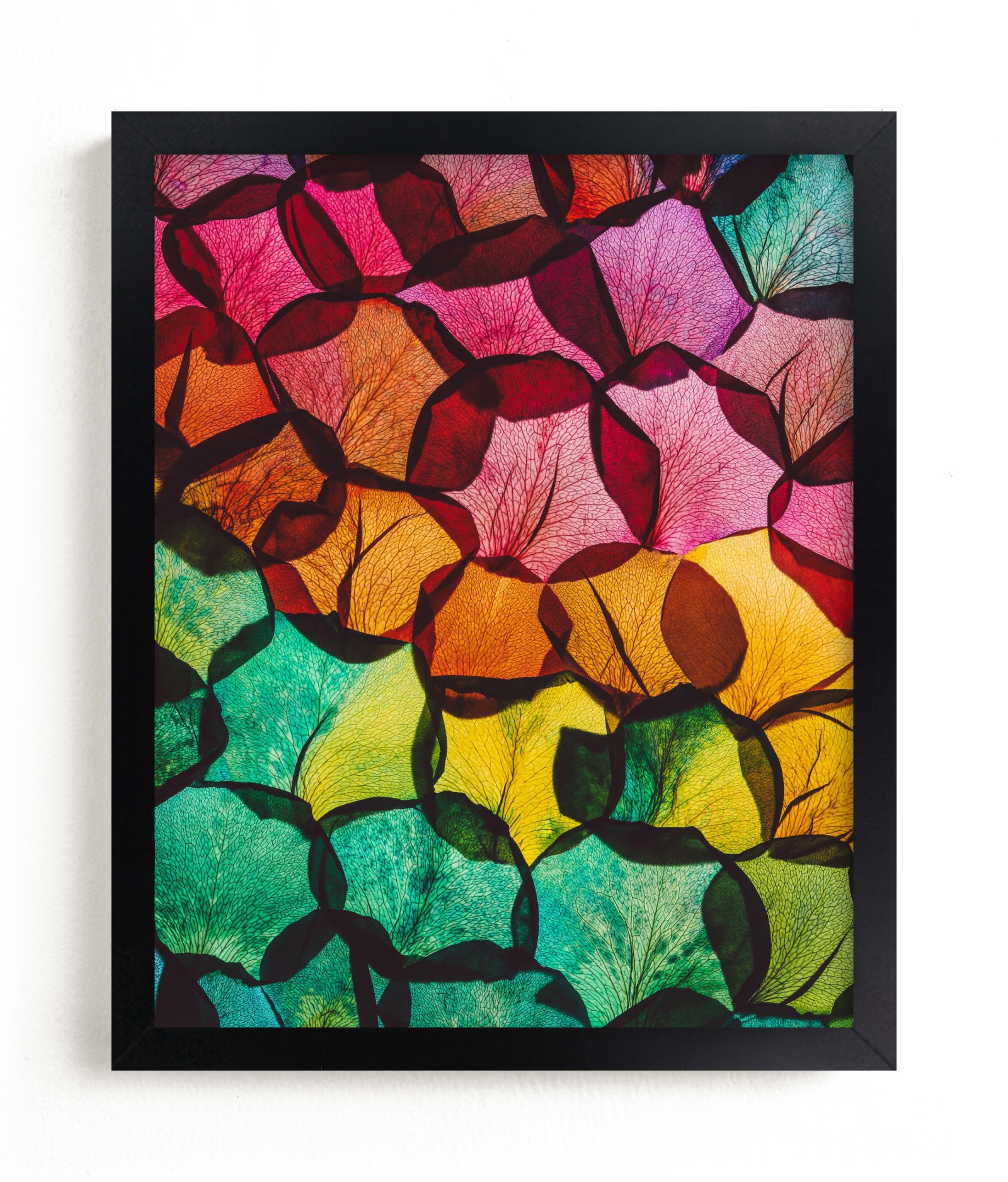 Rainbow Rose Petals Limited Edition Fine Art Print 2 - Image 0