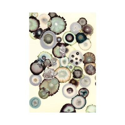 Colorblind by Laura Van Horne - Gallery-Wrapped Canvas Giclée - Image 0