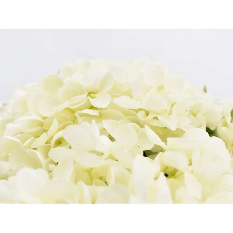 Hydrangea Floral Arrangement in Vase, White - Image 1