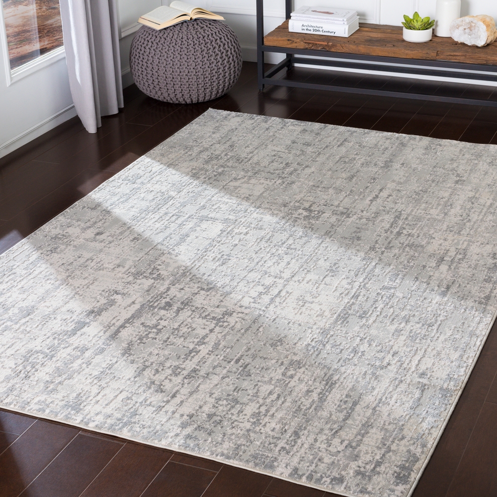 Aisha Gray Indoor 10' x 14' Machine Woven Rug - Image 1