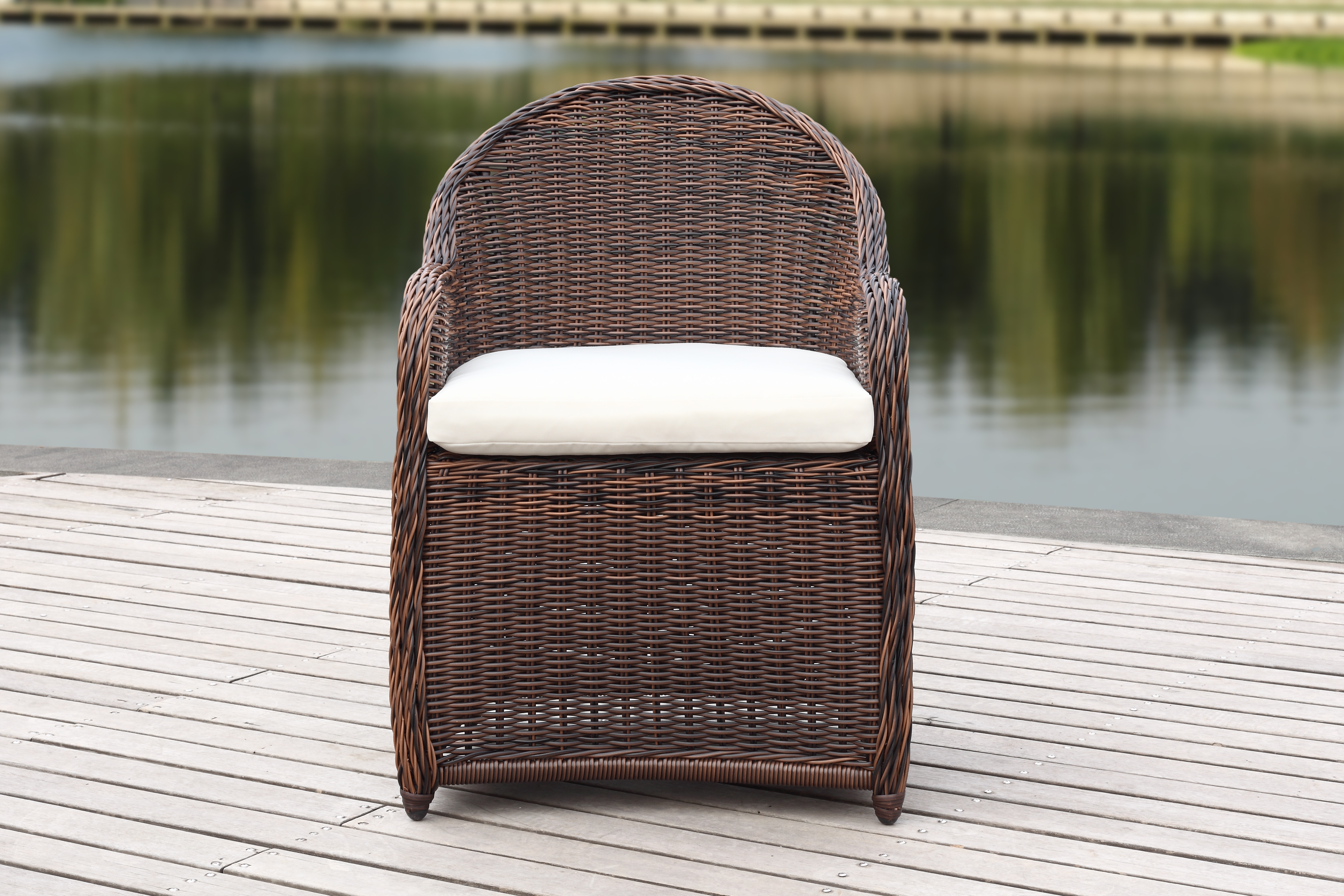 Newton Wicker Arm Chair With Cushion - Brown/Beige - Safavieh - Image 9