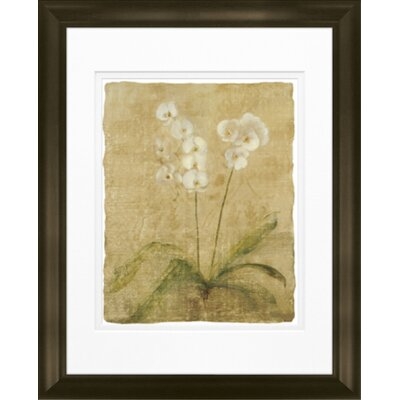 Orchid - Picture Frame Print on Paper - Image 0