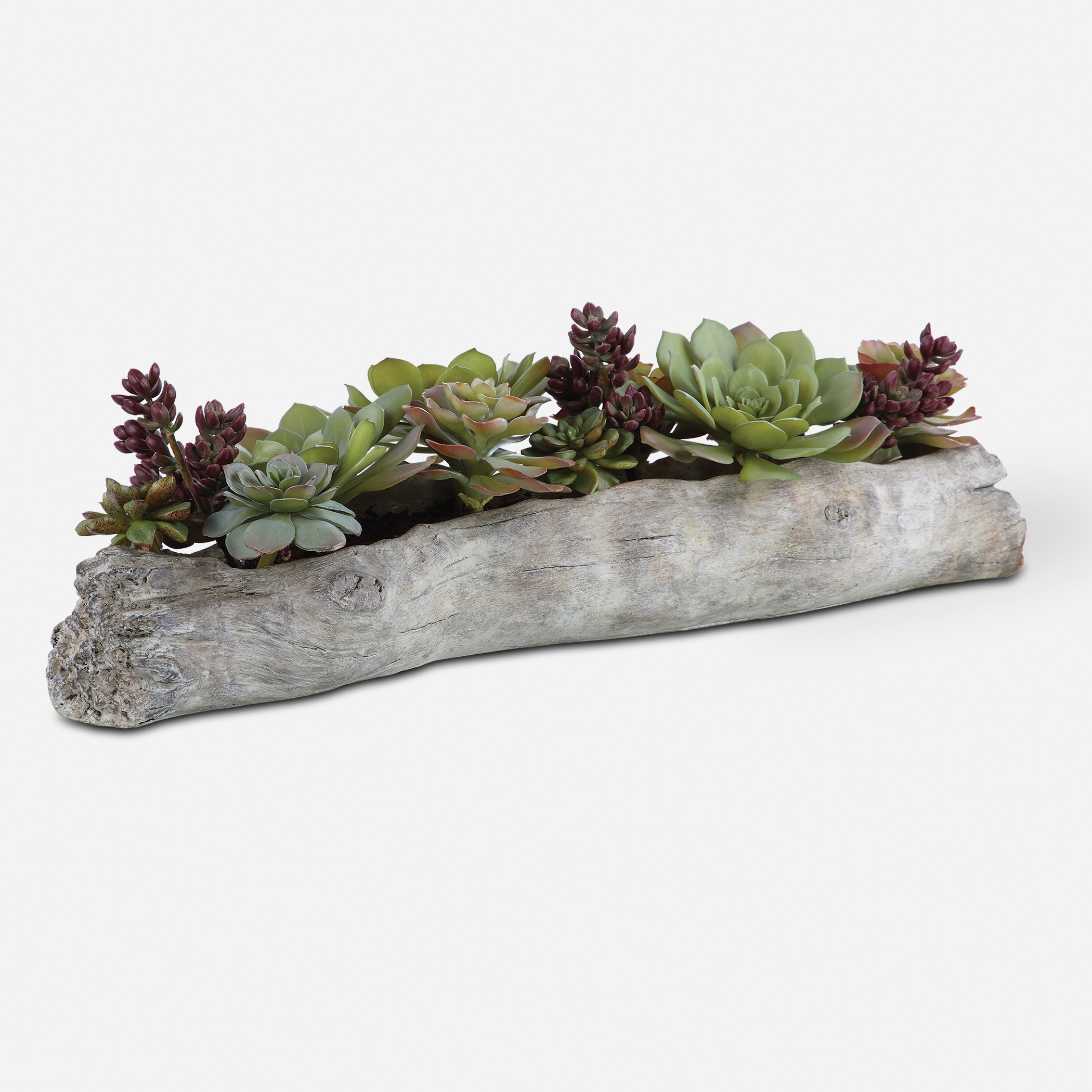 Charita Lush Succulents - Image 0