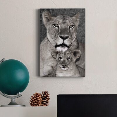 Lioness And Cub Premium Gallery Wrapped Canvas - Ready To Hang - Image 0
