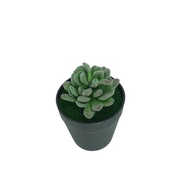 3" Artificial Succulent Plant in Pot in , Green - Image 0