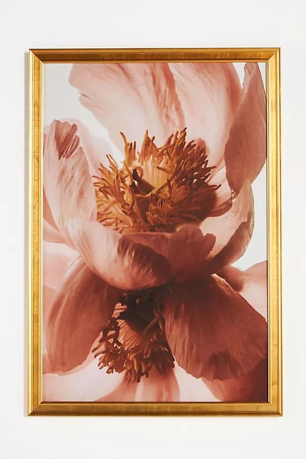 Pink Petals Wall Art - Image 0