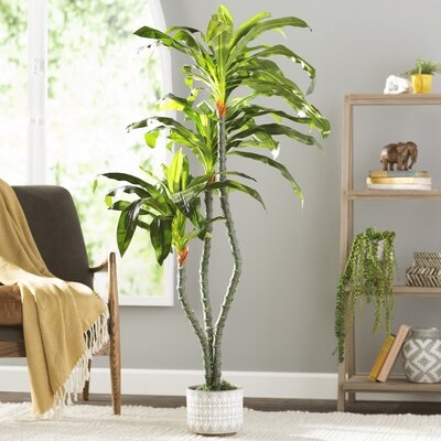 Artificial Dracaena Floor Plant in Tapered Pot - Image 0