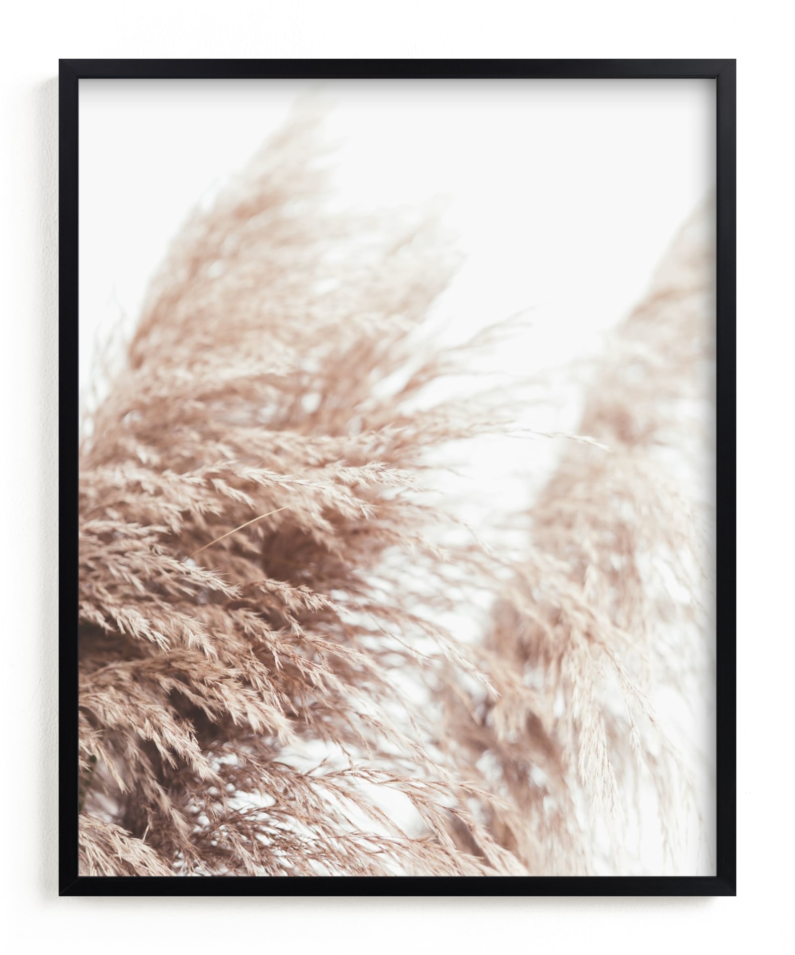 Samoa Field 1 Limited Edition Fine Art Print 2 - Image 0