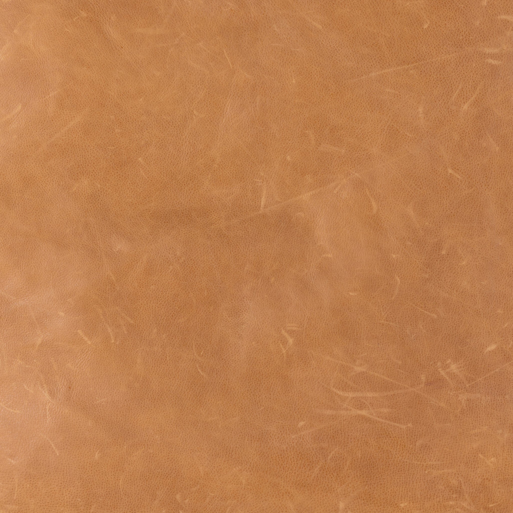 Elias Chair - Palermo Cognac - Image 6