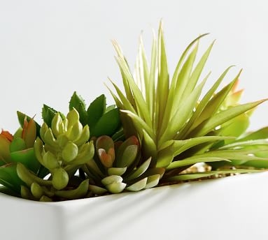 Faux Potted Succulents Set, Multi - Image 1