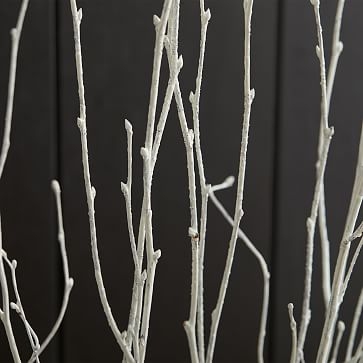Birch Branches, Set of 5, Frosted - Image 2