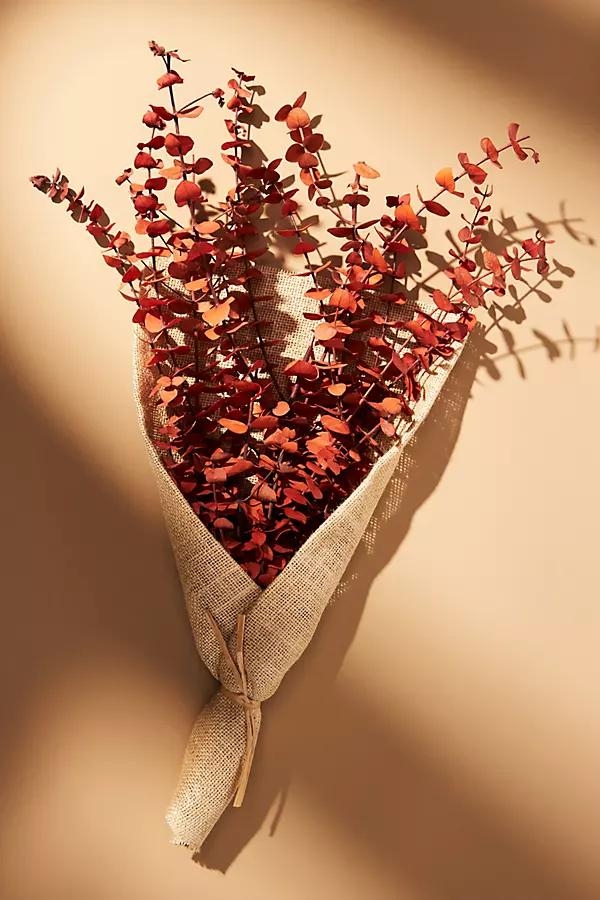 Dried Eucalyptus Bouquet By Anthropologie in Orange - Image 0