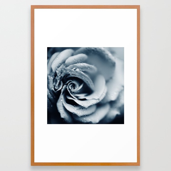Rose - Powder Blue Framed Art Print by Ingrid Beddoes Photography - Conservation Pecan - LARGE (Gallery)-26x38 - Image 0