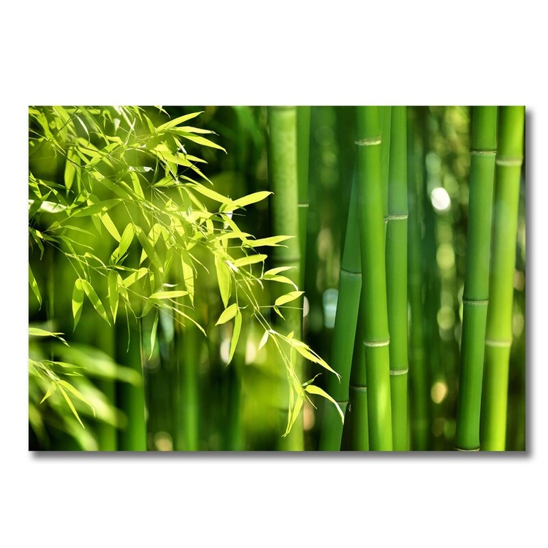 DecorumBY Bamboo Zen by Decorumby - Unframed Photograph Size: 24" H x 36" W x 1.5" D, Format: Acrylic - Image 0