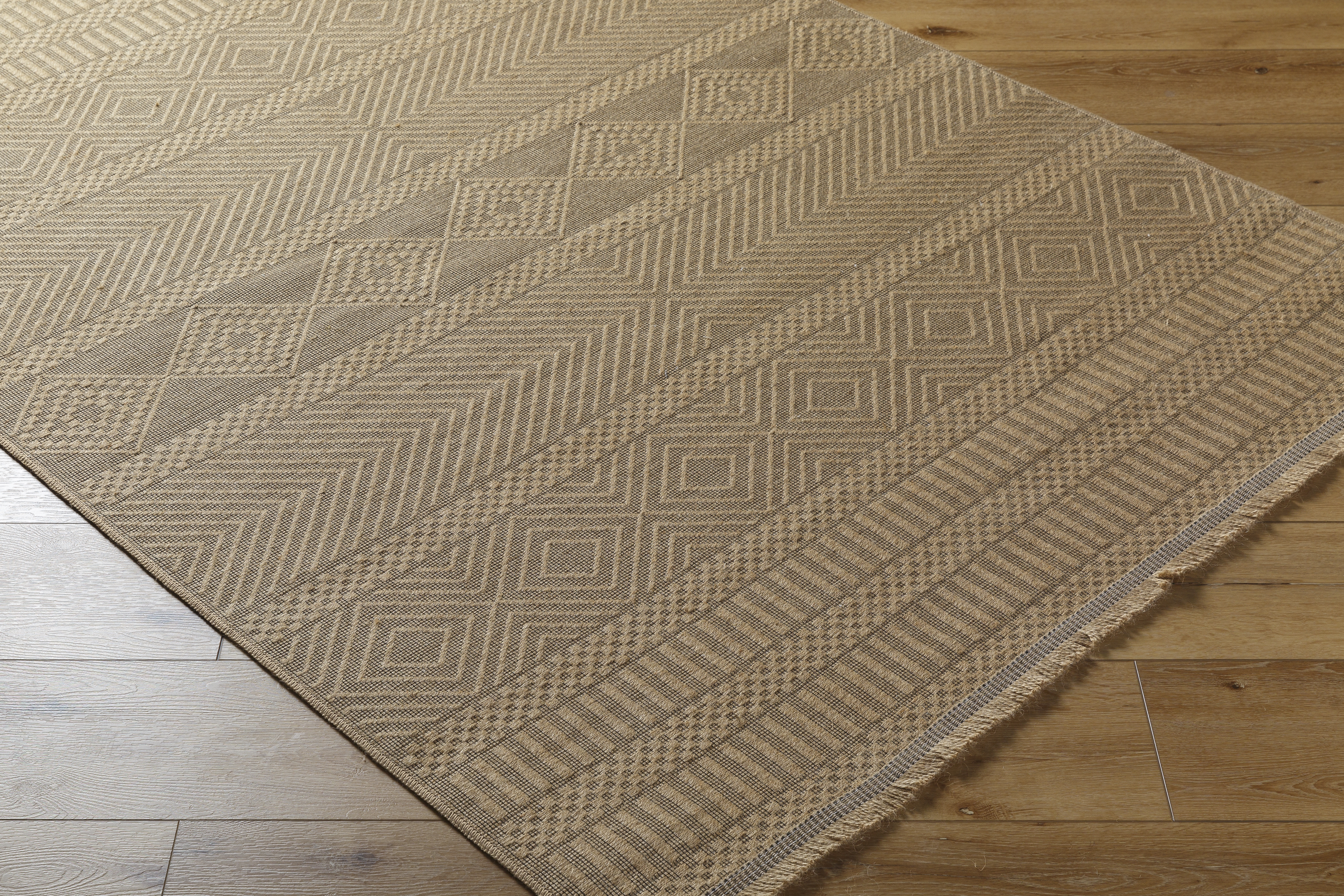 Mystery Beige Indoor 27" x 45" Machine Woven Rug - Image 4