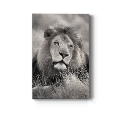 Pride Of The Pride Premium Gallery Wrapped Canvas - Ready To Hang - Image 0