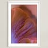 Dreamy Oyster Mushroom Limited Edition Fine Art Print 2 - Image 0
