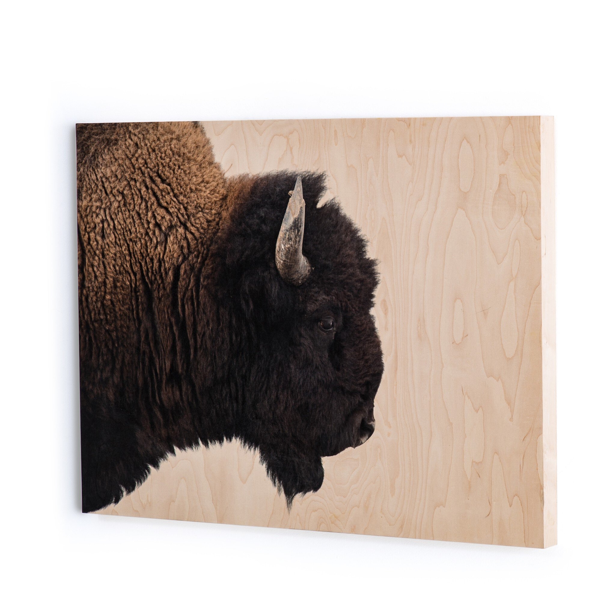 American Bison by Getty Images - Maple Box - Image 1