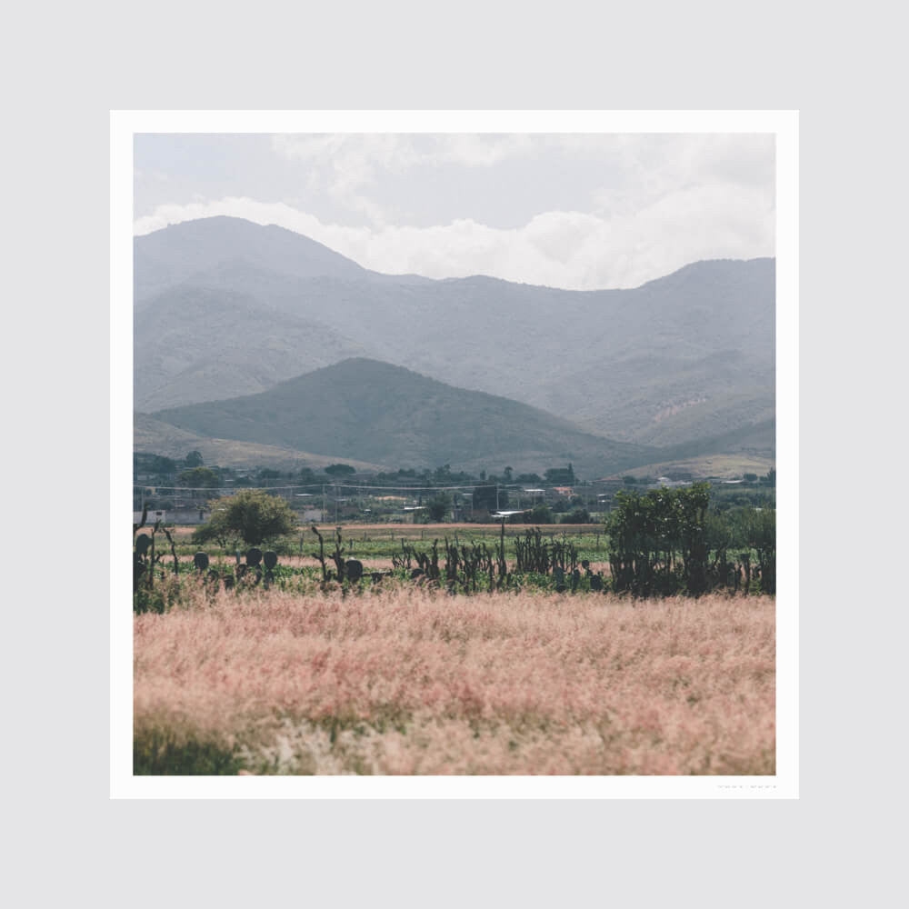 The Citizenry Oaxaca .02 Wall Art | 16" x 16" | White - Image 1