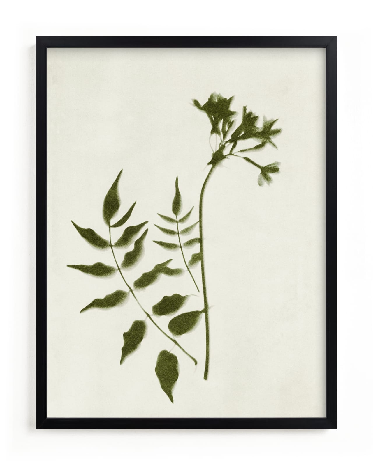 Foraged II Limited Edition Fine Art Print 2 - Image 0