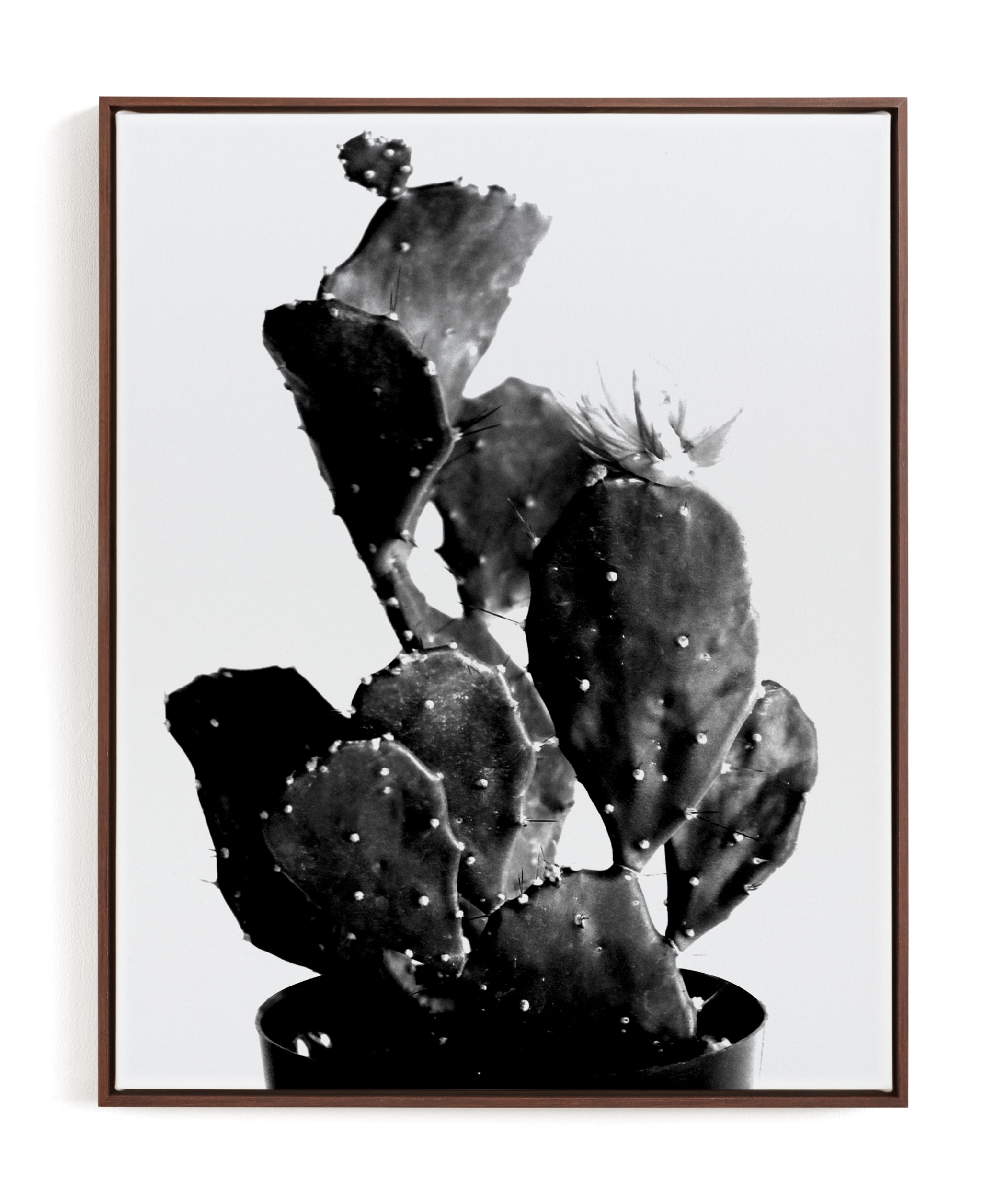 Black Cactus Limited Edition Art Print - Image 0