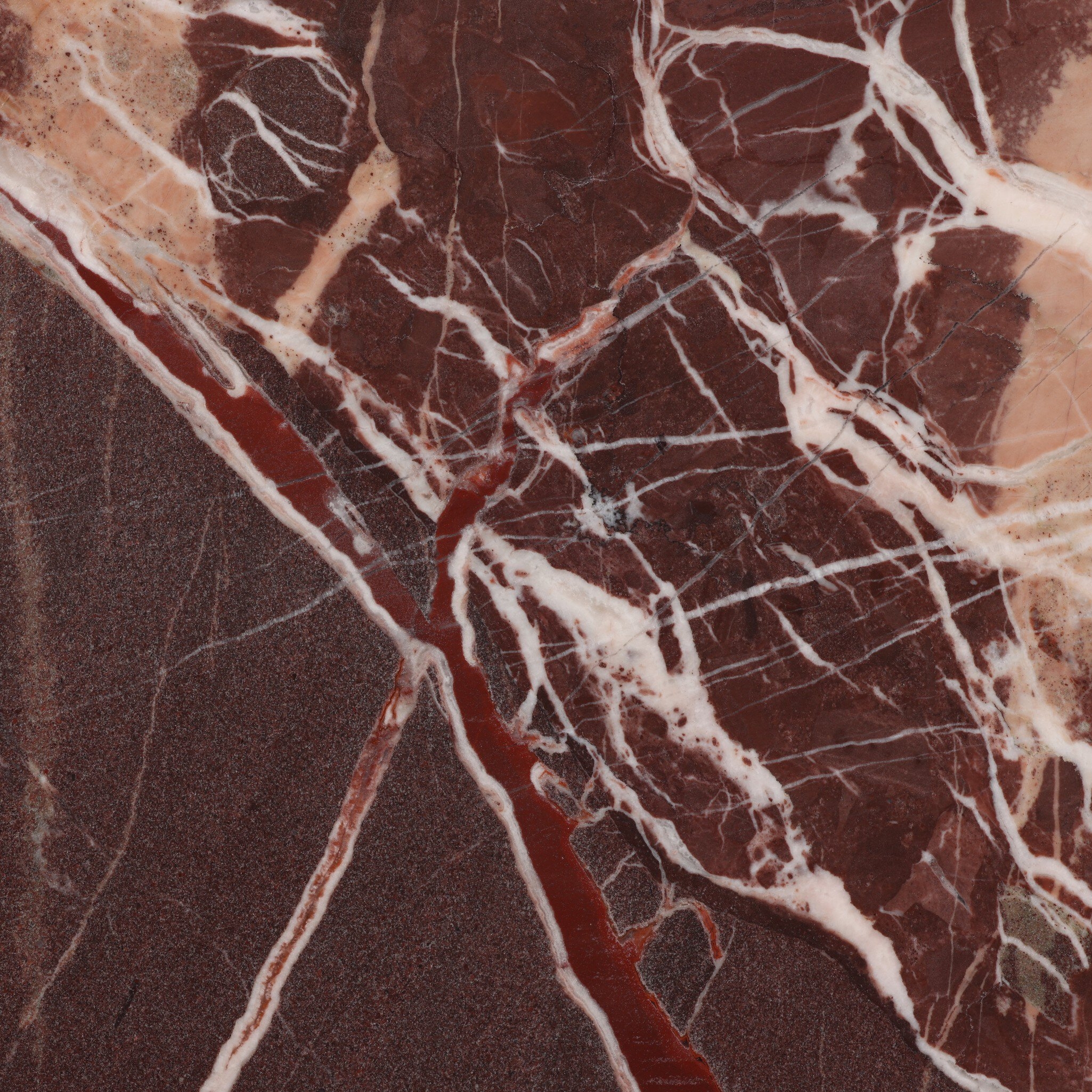 Arum Coffee Table - Merlot Marble - Image 3