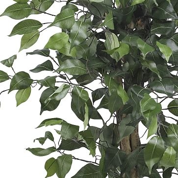 Faux Potted Ficus Tree, 3' - Image 3